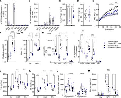 Overexpressing high levels of human vaspin limits high fat diet-induced obesity and enhances energy expenditure in a transgenic mouse